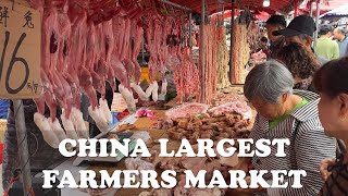 CHINA’S LARGEST FARMER’S MARKET IN 2024 | MORE THAN WHAT YOU EXPECTED