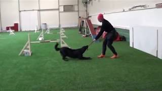 18.09.2018 Lystin Rata