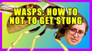 Wasps: How To Not Get Stung (with Beverly Barker)