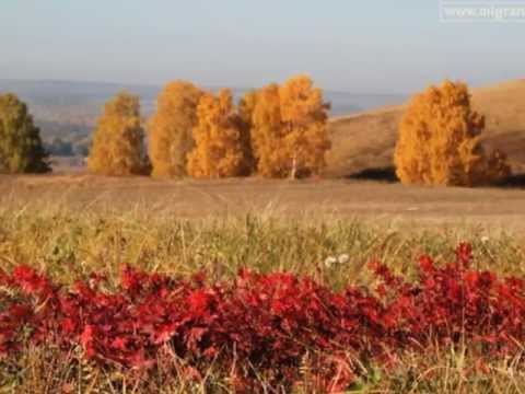 песня бабье лето слушать онлайн песня бабье лето слушать онлайн