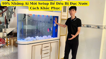 Những ai mới setup hồ cá điều bị đục nước và cách khắc phục