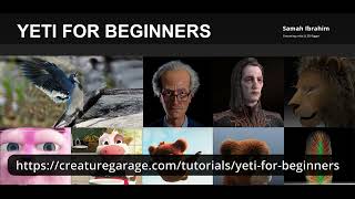 Course overview (Yeti for Beginners)