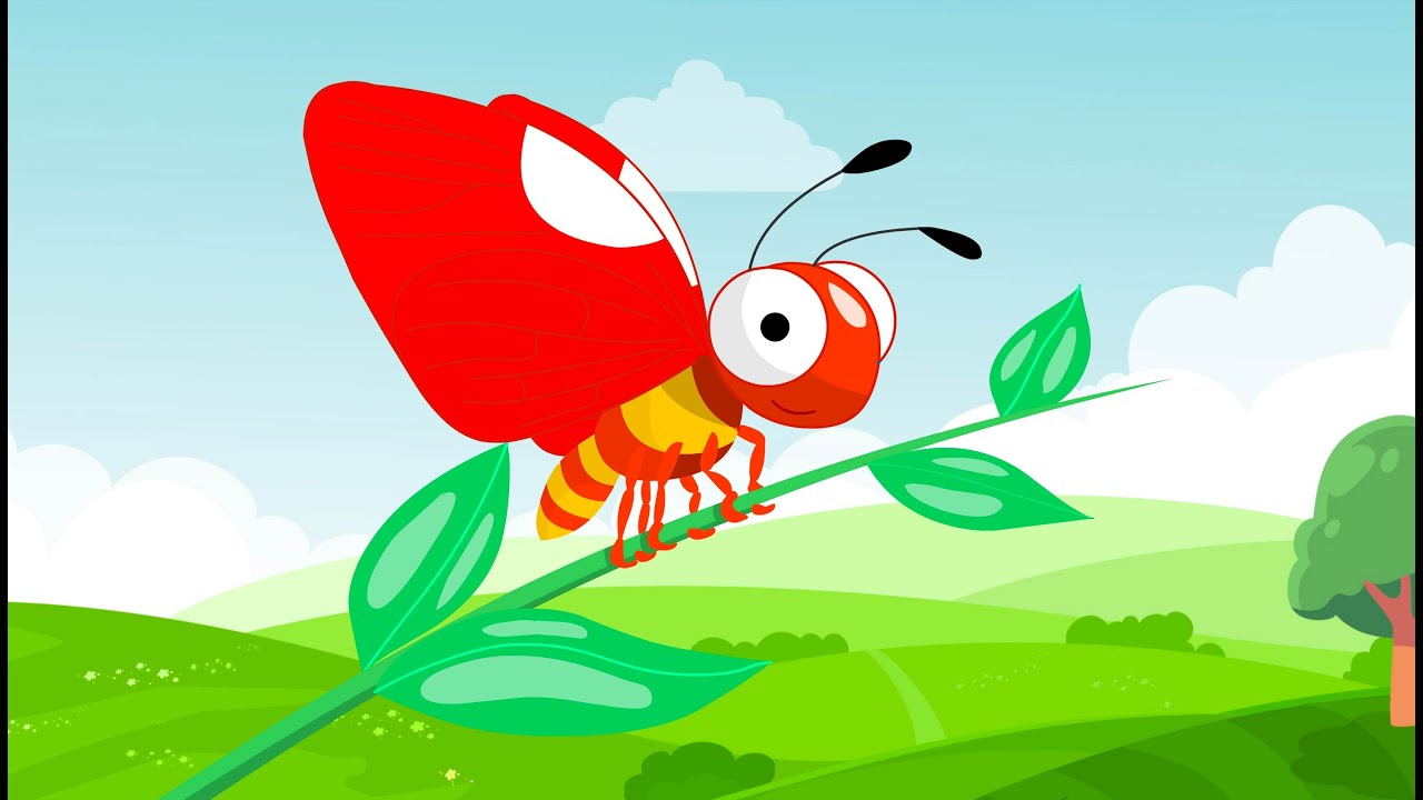 Animation Javascript Papillon Papillon - Animation - Video Motion - YouTube