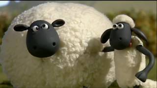 Shaun The Sheep Lifes A Treat Urmiye City