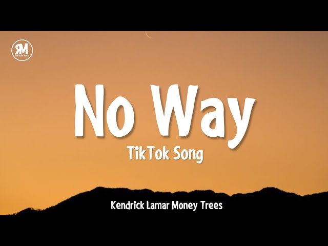 No Way TikTok Song || Kendrick Lamar Money Trees class=