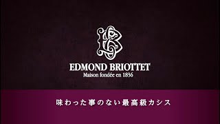 エキス分80％！一滴の水も使用しない究極濃厚クレーム・ド・カシス・ド・ディジョン【ジェラール】｜ドラフトワイン