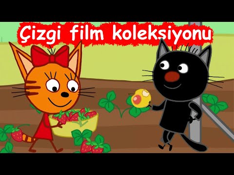 Tatli Kedicikler | Bölüm koleksiyonu | Çocuklar için çizgi film