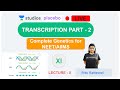 L8: Transcription Part- 2 | Complete Genetics (Pre-medical-NEET/AIIMS) | Ritu Rattewal