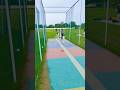Punch the Ball. #cricket #viral #cricketlover #shorts #viralshorts #shortsviral
