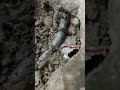 🇲🇩 ✅Отопление ✅Электрика ✅Умные дома 👉 Молдова