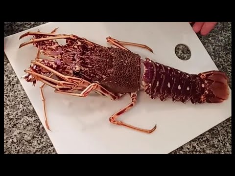 فيديو: كيف لطهي جراد البحر