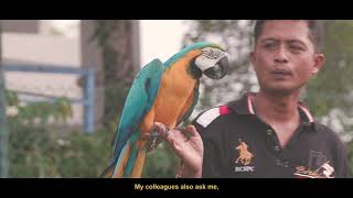 Watch Keeping Birds - A Documentary Trailer
