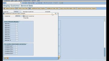 SAP SD Quick Ref - Customer Attributes