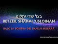 Yosheiv | יושב - El que habita | Tehilim / Salmos 91 | Canta: Mendy Wald - מנדי וולד