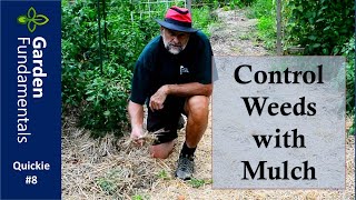 Control Weeds With Mulch 🎊🗻☘️ See the difference with and without mulch