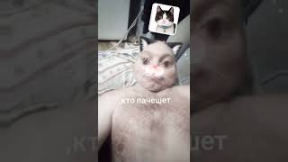 Кто нибудь почешите #мем #мемы