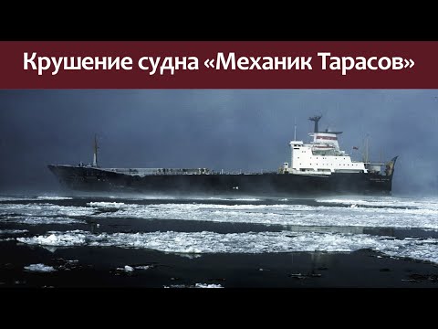 Shipwreck of a cargo ship Mechanic Tarasov.