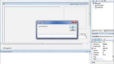 Visual Basic 2008   ComboBox