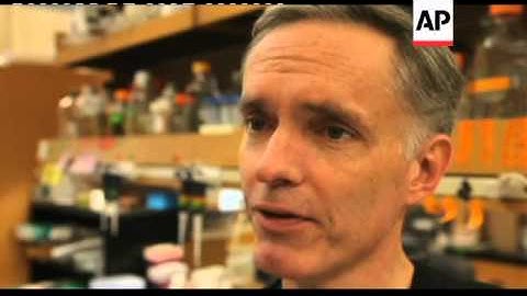 Bacteria is programmed to act like a computer