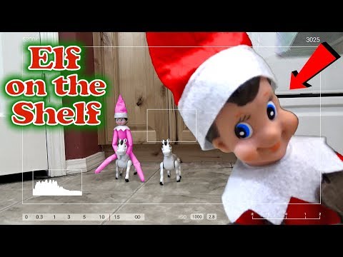 purple-&-pink-elf-on-the-shelf---caught-moving-on-real-camera-with-red-elf!-day-19