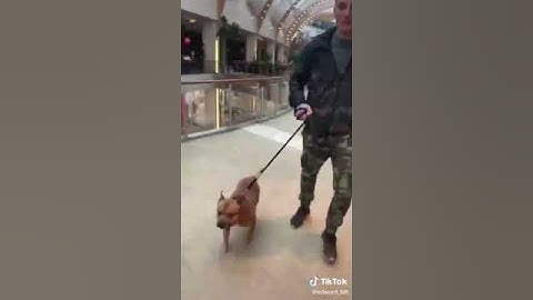 Эдвард Бил