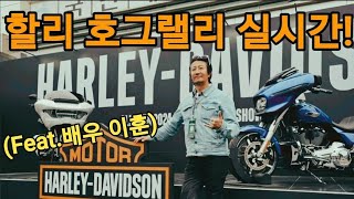 2024. Harley-Davidson KOREA HOG RALLY. #harley #연예인라이더 #이훈배우 #호그랠리 #모바티비