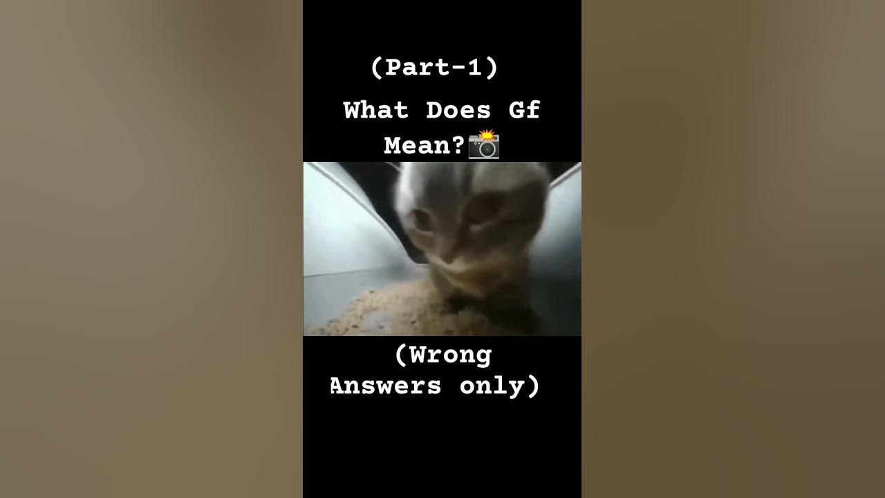 what-does-gf-mean-part-1-wrong-answers-only-shorts-cat-edit
