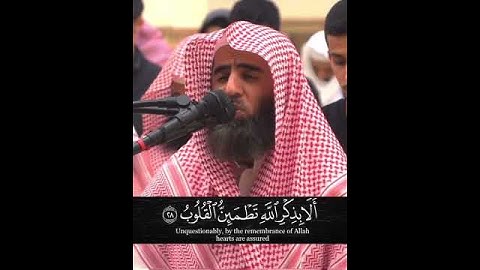 اللذين أمنوا وتطمئن قلوبهم بذكر الله 🤍 القارئ محمد اللحيدان ♡ حالات واتس أرح قلبك 🍃❤