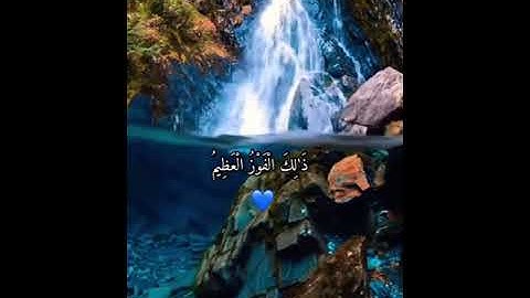القران الكريم  ( سورة التوبة  ) 🍃 بوت الشيخ ياسر الدوسري 💕