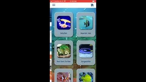 Full-stack: e-commerce shopping cart Expo+React native+MongoDB+Express+Mobx+nodemailer