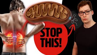 Download Lagu Je nieren sterven af als je mitochondriën lekken - repareer ze allebei door deze 4 dingen te doen! MP3 Download Lagu Je nieren sterven af als je mitochondriën lekken - repareer ze allebei door deze 4 dingen te doen! MP3