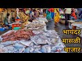 आता मासे स्वस्त झाले आहेत After Lockdown | भायंदर का बड़ा फिश मार्केट |Big Fish Market In Bahayandar