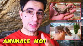 am "FURAT" ȘARPELE care MUȘCĂ de la ALEX + Ce alte animale noi am? 🦎🐍🐁🕷