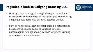 Tagalog Naturalization Process Presentation