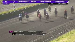 Vidéo de la course PMU PRIX BAR TIVY