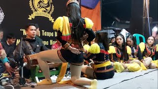 Mantap!! Kiprah Terbaik Singo Barong - Dolalak Adella Putri