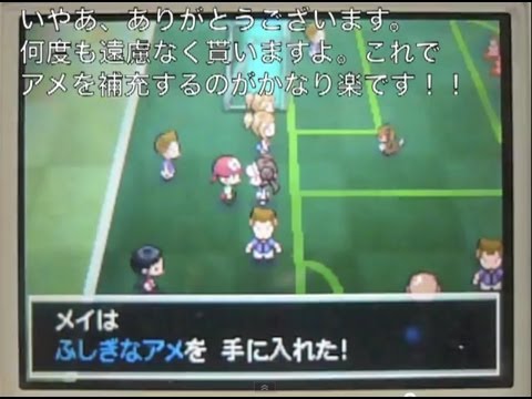 ブラック2 ポケモン ガーディ