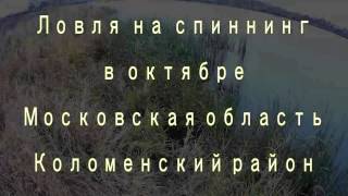 рыбалка на спиннинг в московской области(рыбалка на спиннинг в московской области Коломенский район, середина октября. Ловля проходила на одном..., 2016-10-30T15:16:13.000Z)