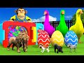 4 Giant Duck with Monkey,Lion,zebra,Tiger,Dog Find The mysterious Egg Transfiguration in Microwave