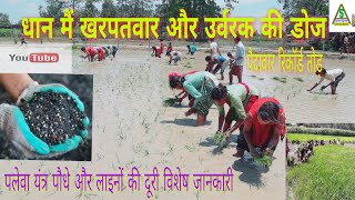 धान में खरपतवार और उर्वरक का प्रयोग dhaan mai fertilizer and Herbicide used