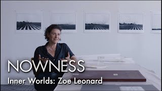 Zoe Leonard: Explore the artist's place of work and experimentation