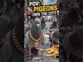 We don’t own the city anymore 💀 #brainrot #funny #pov #viral