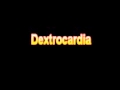 What Is The Definition Of Dextrocardia - Medical Dictionary Free Online