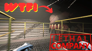 too many mods.... Lethal Company Funny Moments