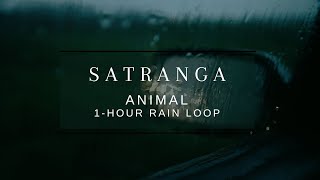 SATRANGA 1 hour loop with background rain | Animal | Ranbir Kapoor | Rashmika | Arijit | Shreya