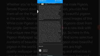 How to use cute pigeon wallpapers app screenshot 1