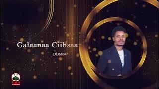 Xumura dorgommii daddaraaroo moo'aa moo'attootaa 2018 dilbata 6:30irraa eegalee tamsaasa kallattiin