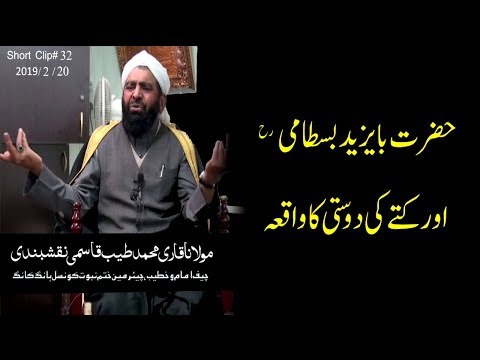 حضرت بایزید بسطامی رح اور کتے کی دوستی کا واقعی | حضرت مولانا قاری محمد طیب قاسمی دامت برکاتہم