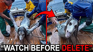 REAL Mermaid Encounters Deep in the Ocean Reveals Secrets Scientists Still Can