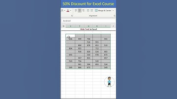 Text Hide in Excel #excel #exceltips #exceltutorial #msexcel #shorts #microsoftexcel #developer